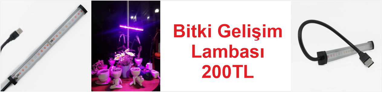 Bitki Lambası